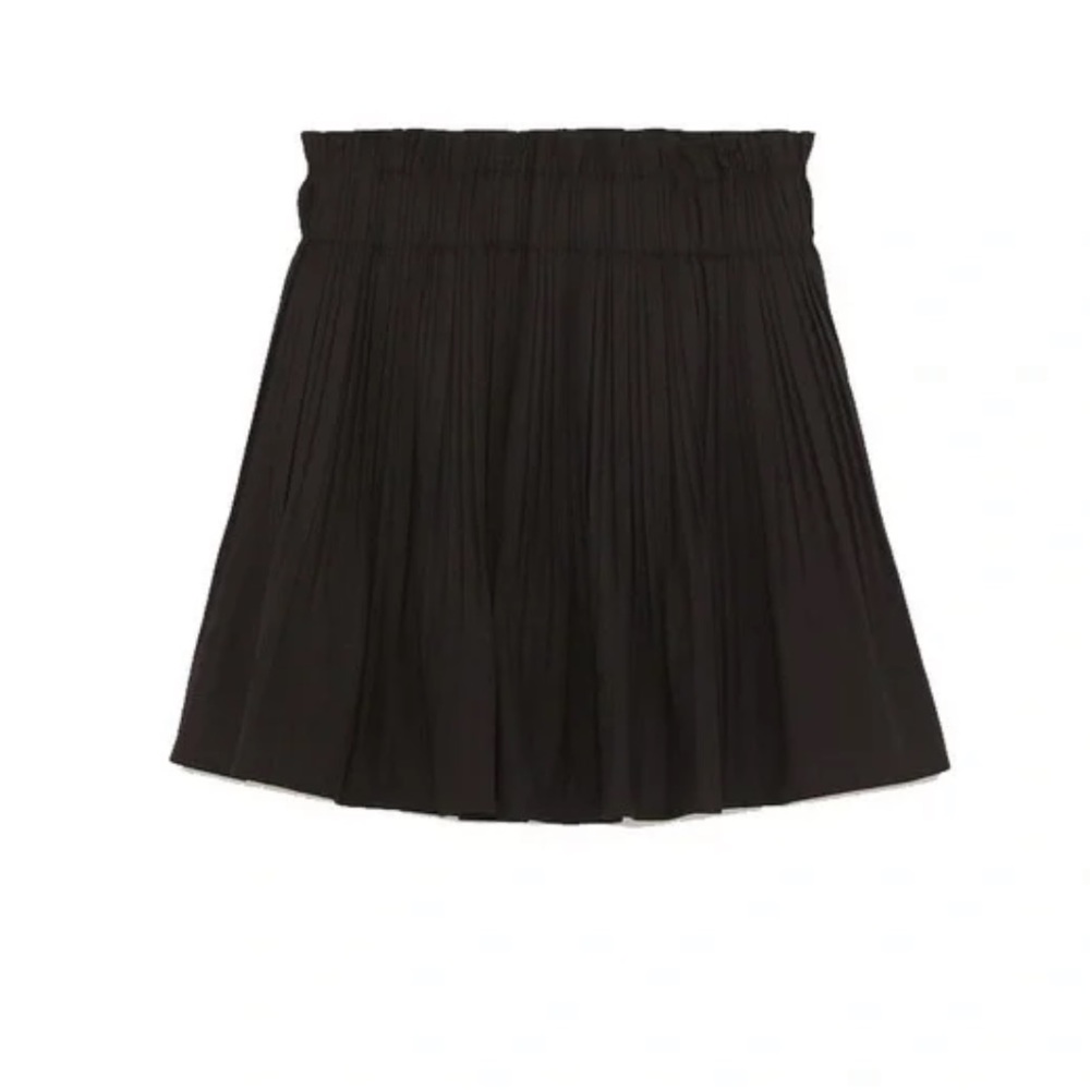 Zara Black Pleated Skirt